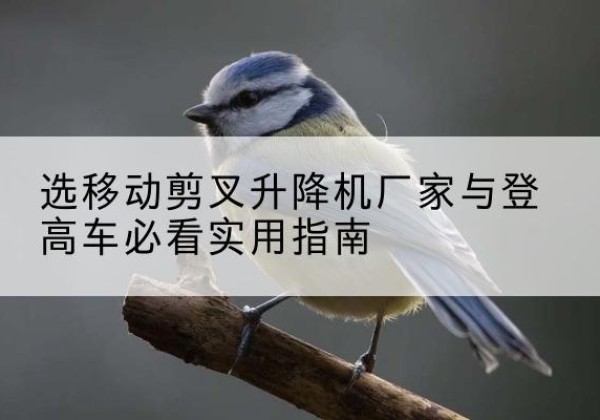 西安电动升降机厂家-选移动剪叉升降机厂家与登高车必看实用指南
